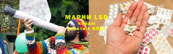 шишки Ладушкин