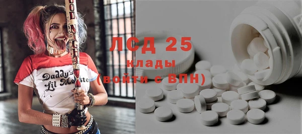 шишки Ладушкин