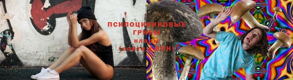 шишки Ладушкин